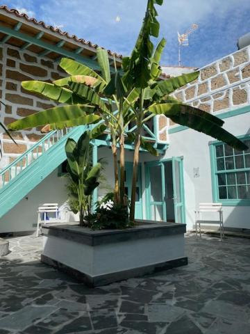 Hacienda De Las Indias, Cali Granadilla De Abona Eksteriør billede