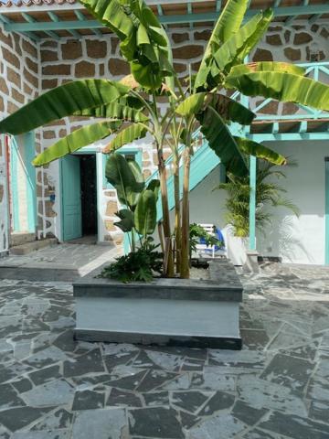 Hacienda De Las Indias, Cali Granadilla De Abona Eksteriør billede